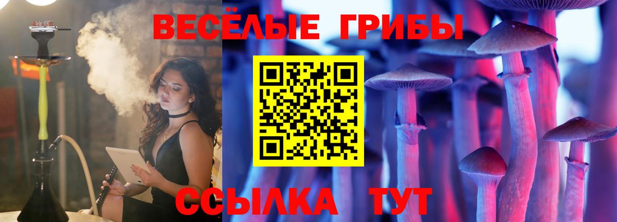 Саратов  Галлюциногенные грибы MAGIC MUSHROOMS  купить закладку  Вход с VPN 